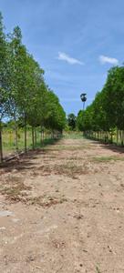 Image of 12000 Sq.ft Residential Plot / Land for sale in Nelvoy, Chennai for Rs. 3600000