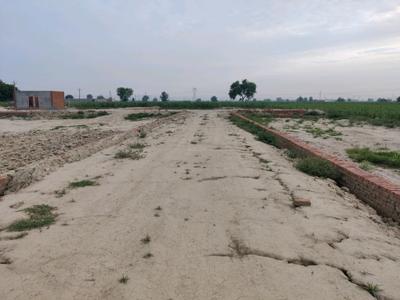 Sultanpur Main Image 1