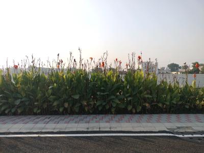 Image of 153 Sq.ft Residential Plot / Land for sale in New Stone Coral Park, Sector 84, Faridabad for Rs. 21400000