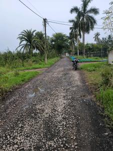 Wander Valley Internal Roads 1