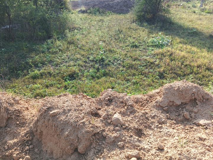 Orris Woodview Residencies Main Image 1