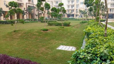 Image of 1450 Sq.ft 3 BHK Apartment / Flat for sale in Emaar Palm Hills, Sector 77, Gurgaon for Rs. 18500000