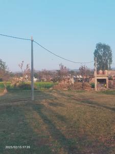 Muthi Plot View 2