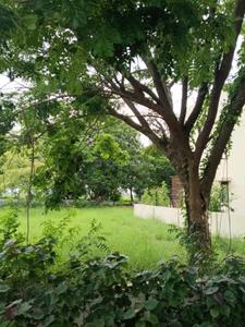 Image of 458 Sq.ft Residential Plot / Land for sale in Bakeri Serenity Proximus, Moti Devati, Ahmedabad for Rs. 5954000