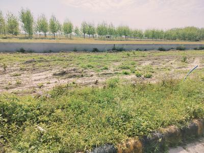 Image of 1116 Sq.ft Residential Plot / Land for sale in Hero Alaknanda, Badheri Rajputan, Haridwar for Rs. 4800000