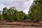 Koba gandhinagar Plot View 2