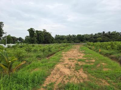 Image of 100 Sq.ft Residential Plot / Land for sale in Gajapatinagaram, Vizianagaram for Rs. 550000