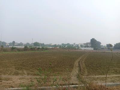 Image of 265 Sq.ft Residential Plot / Land for sale in Maincha, Greater Noida for Rs. 22525001