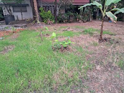 Image of 2613 Sq.ft Residential Plot / Land for sale in Maradu, Kochi for Rs. 7800000