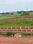 Patrapada Plot View 2