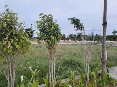 Image of 700 Sq.ft Residential Plot / Land for sale in Purva Raagam, Poonamallee, Chennai for Rs. 3200000