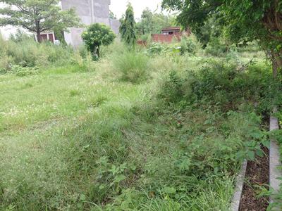 Image of 2152 Sq.ft Residential Plot / Land for sale in Chhoti Vihar, Bareilly for Rs. 3200000