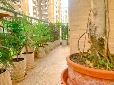 Balcony Image of 1854 Sq.ft 3 BHK Apartment / Flat for sale in Strategic Royal Court, Noida Extension Greater Noida for Rs. 17500000