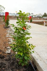 Image of 1000 Sq.ft Residential Plot / Land for sale in Kesnand, Pune for Rs. 1050000