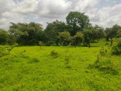 Image of 46995 Sq.ft Residential Plot / Land for sale in Murbad, Thane for Rs. 6665000