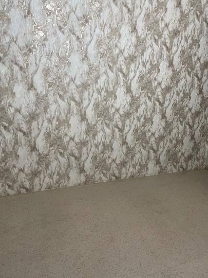 Rajendra Nagar Living Room 1