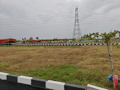Image of 993 Sq.ft Residential Plot / Land for sale in Maraimalai Nagar, Chennai for Rs. 1987986