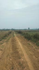 Image of 21780 Sq.ft Residential Plot / Land for sale in Kairi, Bhubaneswar for Rs. 8000000