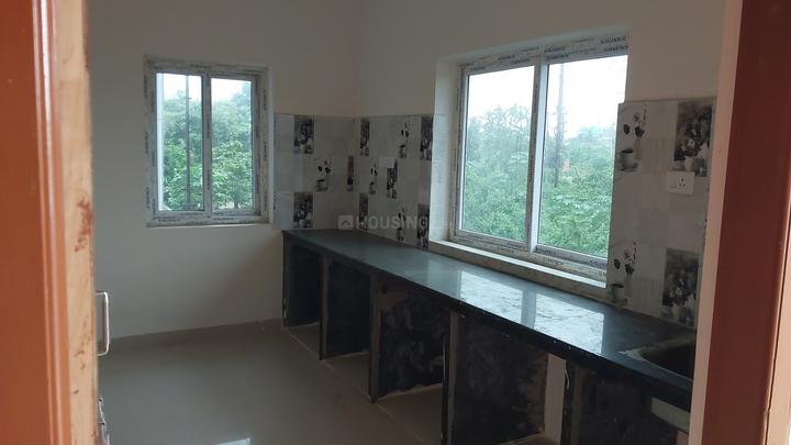 Oro Palm Main Image 1