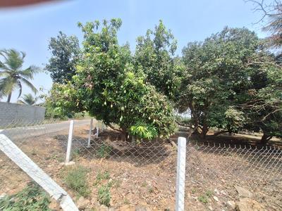 Image of 10000 Sq.ft Residential Plot / Land for sale in Melmaruvathur, Chennai for Rs. 3500000