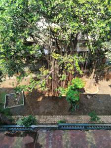 Image of 550 Sq.ft 1 BHK Apartment / Flat for sale in Dombivli East, Thane for Rs. 3850000