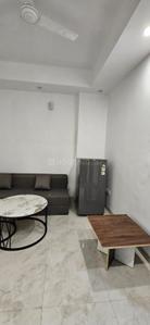 Hall Image of 1200 Sq.ft 1 BHK Builder Floor for rent in DLF Phase 3 Gurgaon for Rs. 25000