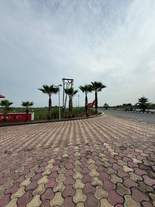 Tirupati paradise Plot View 2
