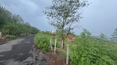 Image of 3000 Sq.ft Residential Plot / Land for sale in Bhukum, Pune for Rs. 4500000