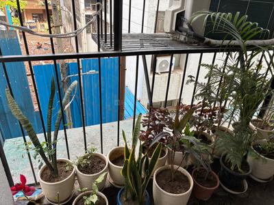Balcony Image of 1800 Sq.ft 3 BHK Builder Floor for sale in Sarvodaya Enclave New Delhi for Rs. 53500000
