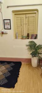 Balcony Image of 800 Sq.ft 2 BHK Apartment / Flat for rent in Naktala Kolkata for Rs. 15000