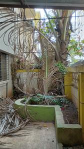 Balcony Image of 1575 Sq.ft 3 BHK Independent House for sale in Riswadkar Prestige Panorama, Keshav Nagar Pune for Rs. 16500000