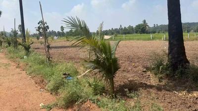 Image of 4284 Sq.ft Residential Plot / Land for sale in Kandukur, Hyderabad for Rs. 4744999