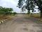 Alekhya Amara County Internal Roads 2
