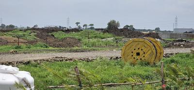 Manglia Plot View 2