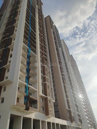 Team4 Nyla Main Image 1