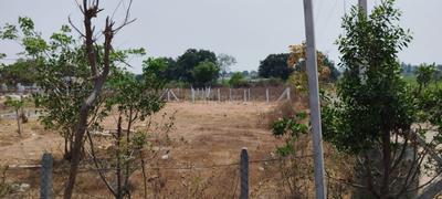 Image of 1692 Sq.ft Residential Plot / Land for sale in Shadnagar, Ranga Reddy for Rs. 3760000