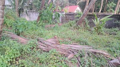 Image of 9146 Sq.ft Residential Plot / Land for sale in Maradu, Kochi for Rs. 29400000