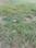 Sector 105 Main Image 1