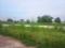 Del Ncr CIty Plot View 2