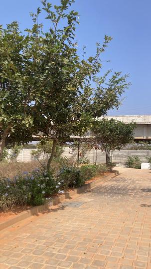 Tivoli Hills Main Image 1