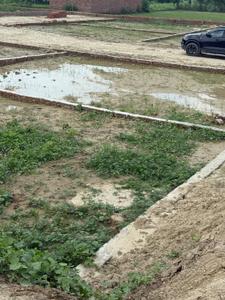 Image of 1050 Sq.ft Residential Plot / Land for sale in Harhua, Varanasi for Rs. 2545000