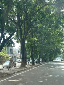 Image of 4500 Sq.ft Residential Plot / Land for sale in Sector 68, Mohali for Rs. 125000000