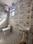 Chhatarpur Bathroom 1