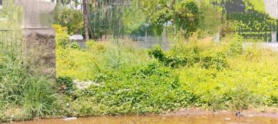 Image of 4356 Sq.ft Residential Plot / Land for sale in Punkunnam, Thrissur for Rs. 4200000