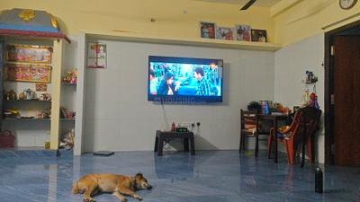 Living Room Image of 850 Sq.ft 2 BHK Builder Floor for rent in Vellavedu Chennai for Rs. 10000