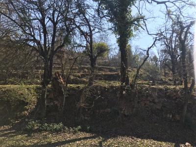 Image of 10800 Sq.ft Residential Plot / Land for sale in Pandeykhola, Almora for Rs. 1000000