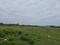 Padappai Plot View 1