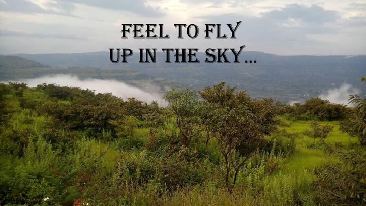 Sealinkvillas Main Image 1