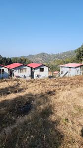 Image of 1080 Sq.ft Residential Plot / Land for sale in Mukteshwar, Nainital for Rs. 2799904