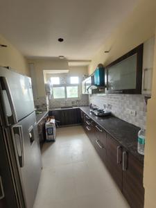 Kitchen Image of 1250 Sq.ft 2 BHK Apartment / Flat for rent in Shree Ananda Palms, Civil Lines Allahabad for Rs. 40000